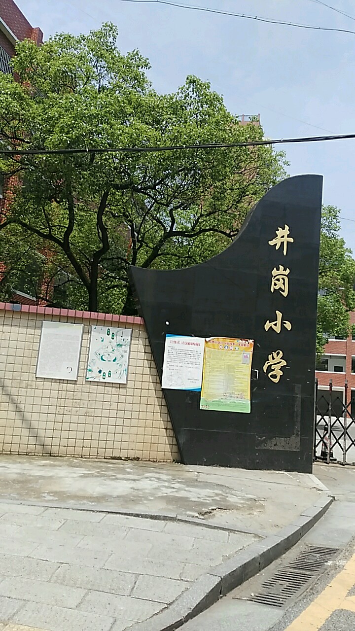 井岗小学