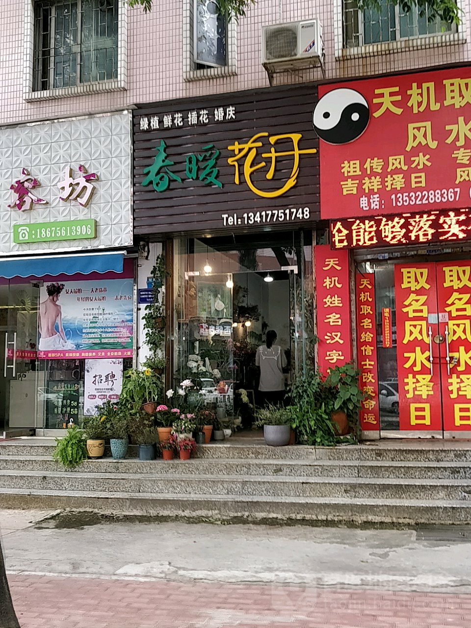 春暖花开绿植鲜花(胡湾里店)