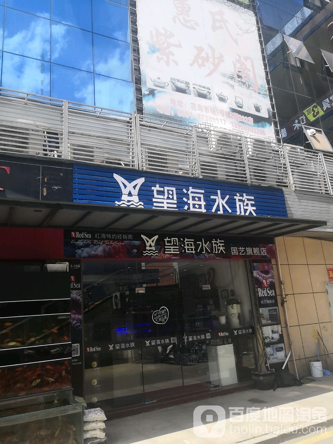 望还水族(国艺旗舰店)