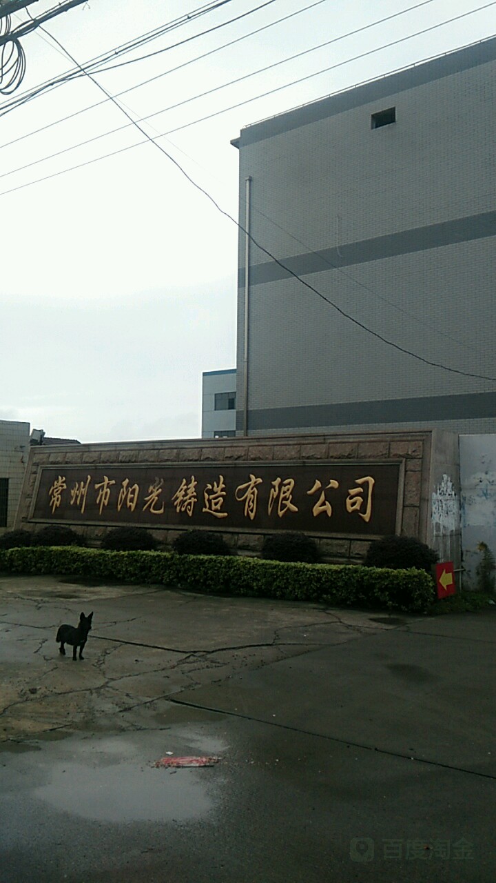 常州市阳光铸造有限公司