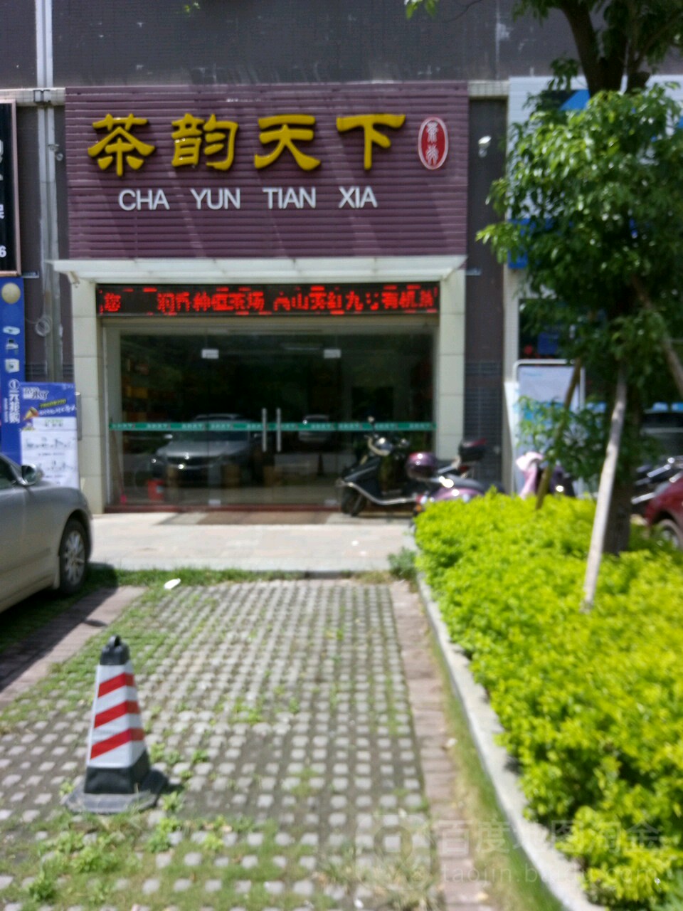 茶一天下