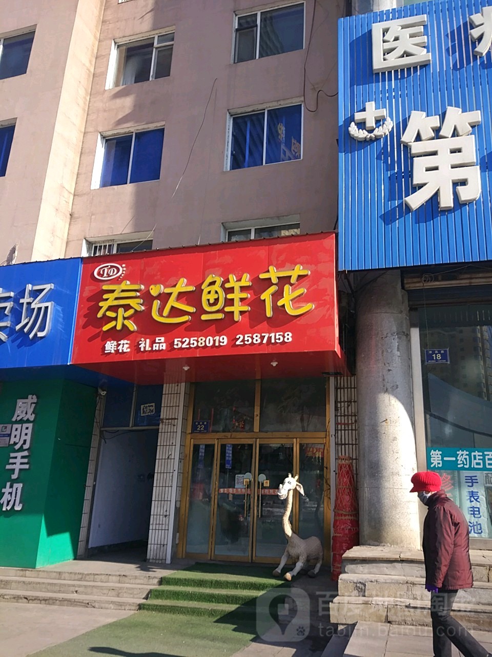 泰达鲜花