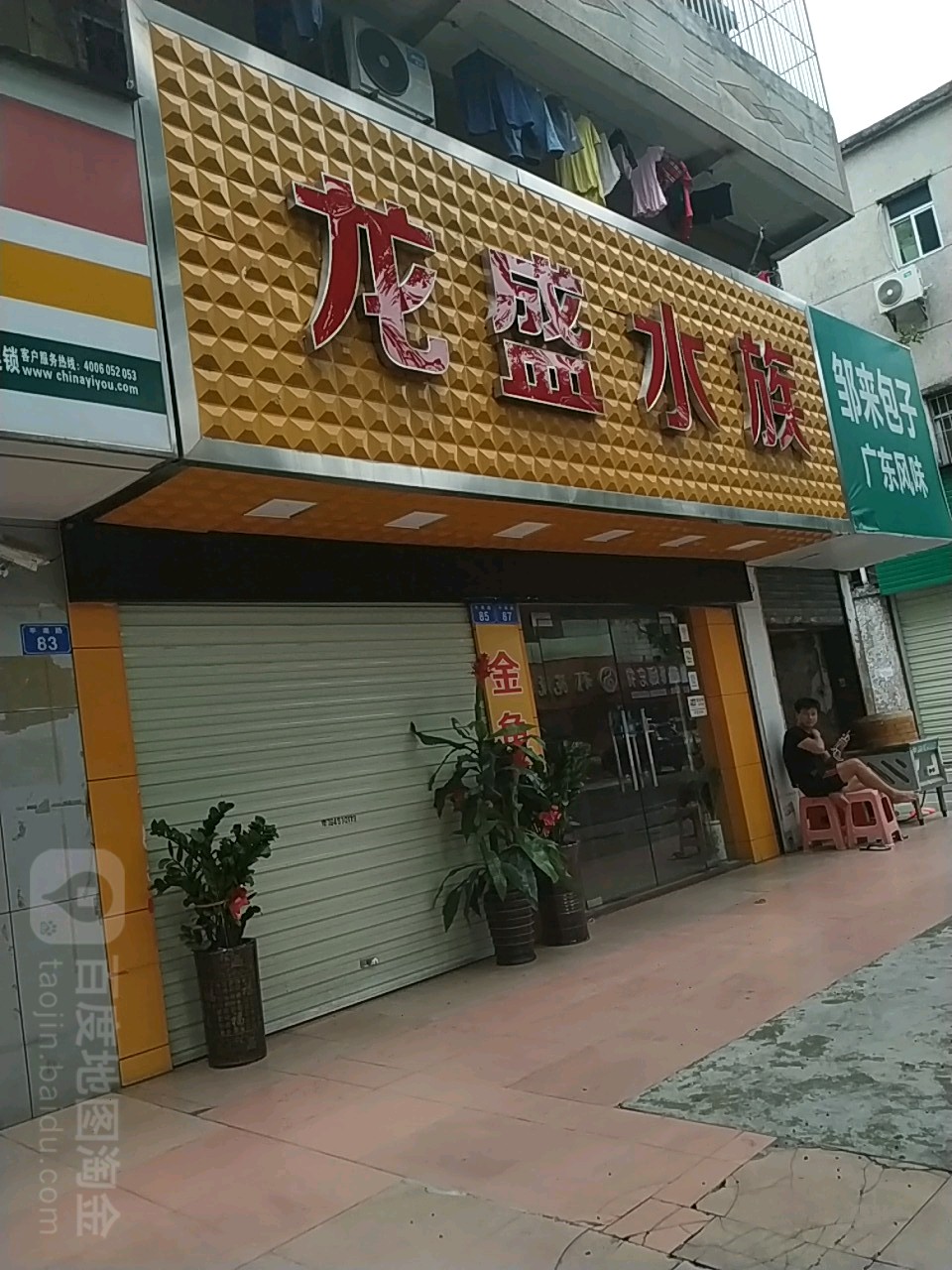 龙盛水族(平南路店)