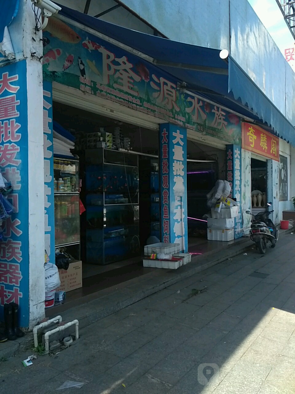 隆源水族