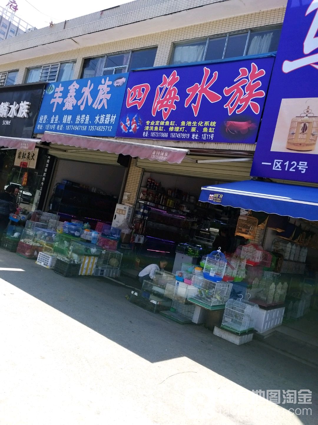 丰鑫水族