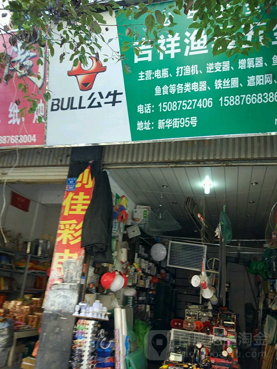 公牛